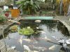PICT0785.JPG