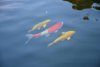 K1600_DSC_3455.JPG