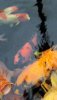 20161119_135640.JPG