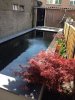 rsz_img_4169.jpg
