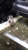 20170124_111014.JPG
