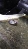 20170124_111003.JPG