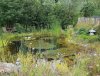 20160802_131941.jpg