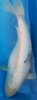 IMG-20170411-WA0006.jpg