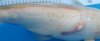 IMG-20170411-WA0015.jpg