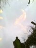 Foto0033.jpg