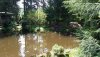 garten neuKL1.jpg