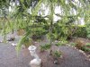 DSCN0147.JPG