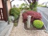 DSCN0145.JPG
