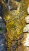 K2_20170517_083117.jpg