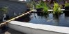 20170525_155420.JPG