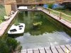 20170607_164953.jpg