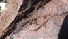 20170618_164554.jpg