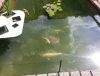 20170623_161151.jpg