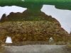 20170629_144016_1.jpg