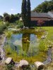 20170721_133258-480x640.jpg