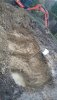 20170310_06Stufen,Grundwasser.jpg