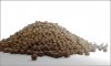 Yoshi Futter 3-mm-Sommer.jpg