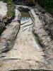 Alter Teich.jpg