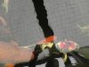 S4840013.JPG