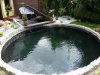 Teich Bild2.jpg