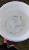 IMG-20171119-WA0009.jpg