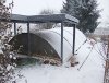 winter.jpg