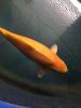 IMG-20171217-WA0005.jpg
