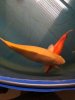 IMG-20171217-WA0002.jpg