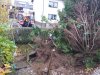 20171118_105415.jpg
