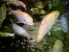 DSC01091.jpg