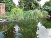 dsc03208_113.jpg