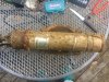 k-IMG_1777.JPG