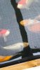 20171106_141844.JPG