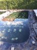 20171030_113209 1.jpg