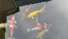20180409_175503_resized.jpg
