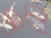 IMG-20180425-WA0009.jpg