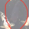 IMG-20180425-WA0007.jpg