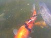 IMG_20180513_155639.jpg
