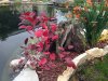 Teich_01c.jpg