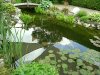 Teich Mai 2018 002.JPG