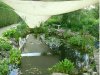 Teich Mai 2018 001.JPG
