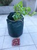 20180603_095039.jpg