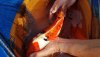 20180609_104447.jpg