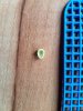 20180611_190655_resized.jpg