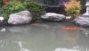 20180624_183227.jpg