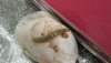 IMG-20180627-WA0001.jpg