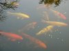 DSC00488.JPG