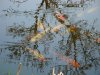 DSC00482.JPG
