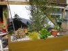 Bild 263.jpg